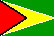 Flag of Guyana
